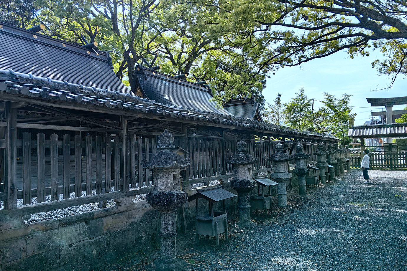 和歌山-鬥雞神社